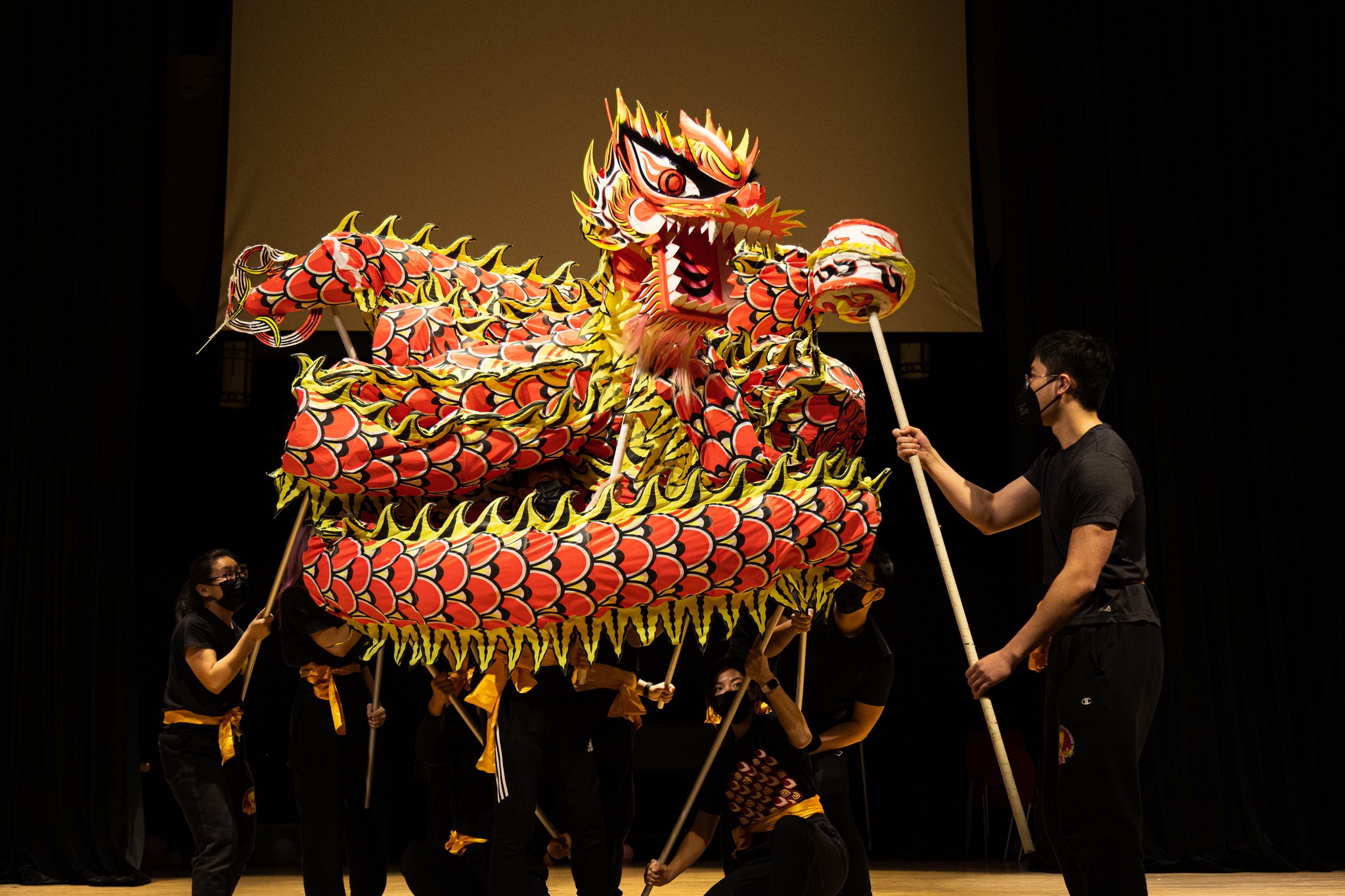 A picture of a dragon dance performance by Northeastern University Dragon and Lion Dance Troupe